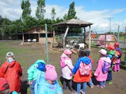 Výlet do ZOO Chleby a Labyrintária Loučeň